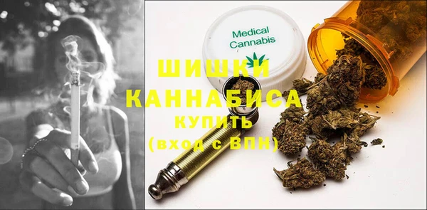 индика Абаза