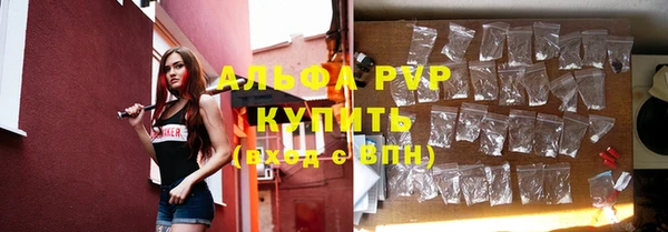 эйфоретик Инсар