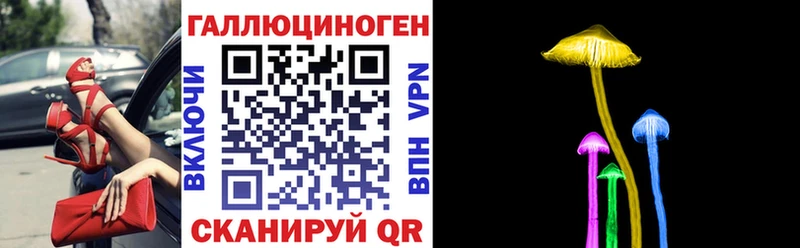 KRAKEN tor  Далматово  Галлюциногенные грибы GOLDEN TEACHER  где купить  